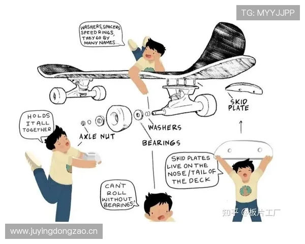 适合初学者的滑板入门指南 如何选择和掌握基础技巧